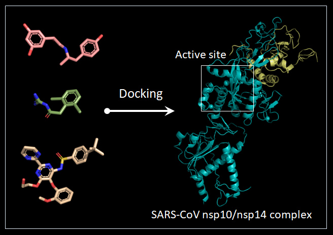 蛋白質結構應用-結構基礎藥物設計